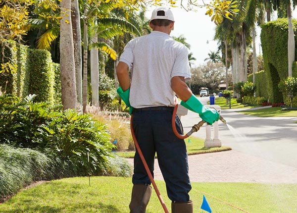 About Cedar Falls IA Pest Control Pros